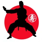 RayHomeTraining Karate Academy